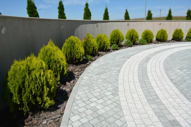 Reasons to Select Us for Your Driveway Paving Requirements in Weddington, NC